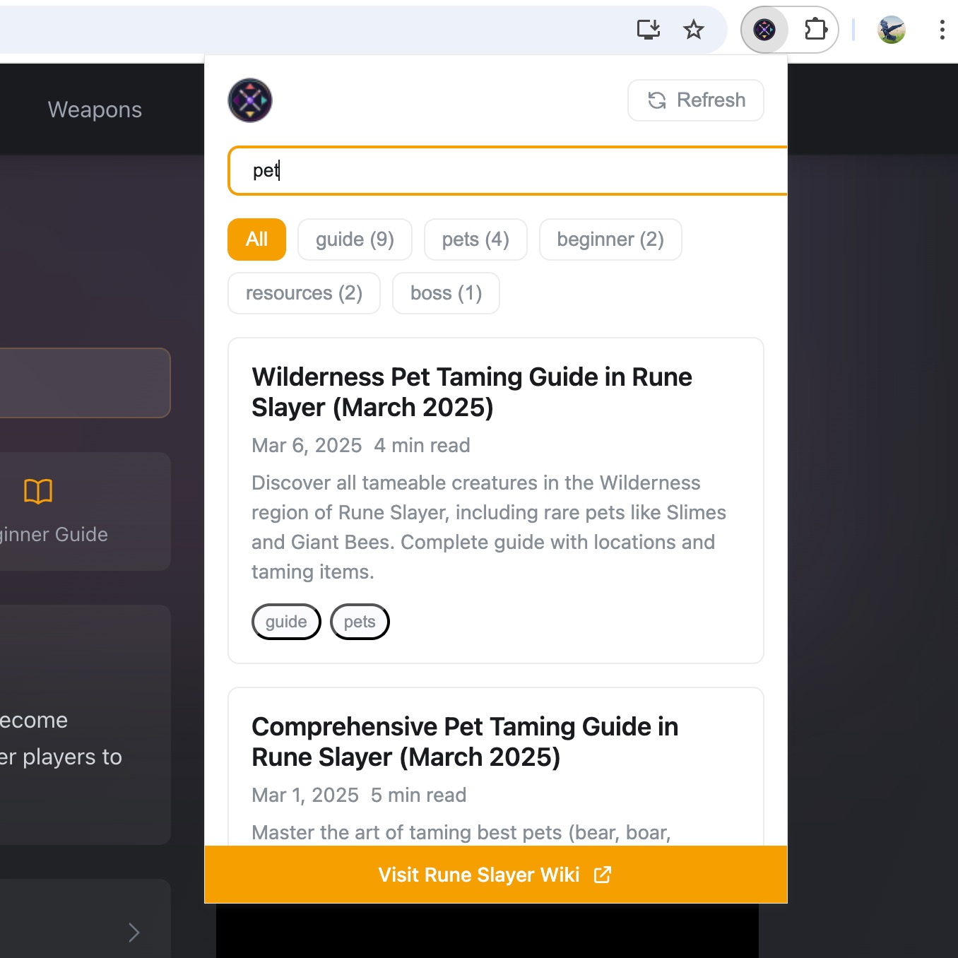Browser Extension Preview